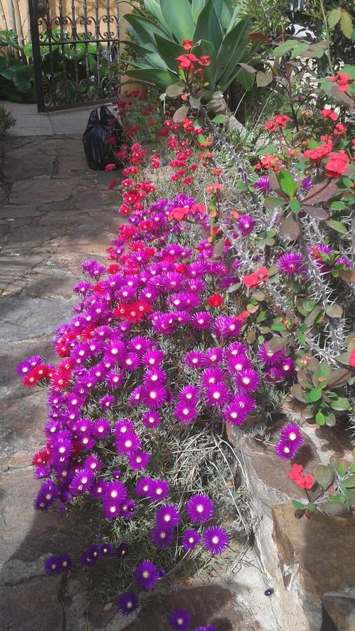 Bed And Breakfast Su Niu Quartucciu Bagian luar foto
